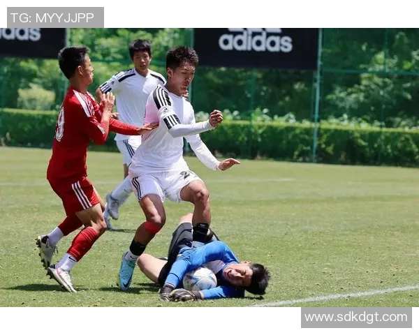 上海足球队在冠军赛中的默契配合与战术执行分析 上海足球队在冠军赛中的默契配合与战术执行分析