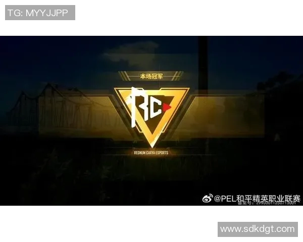 和平精英巨献：深入解析IG战队的实力与战术风采