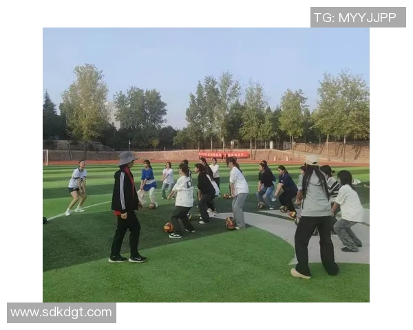 南京排球队的速度之美：探秘排球运动的快速魅力与团队协作