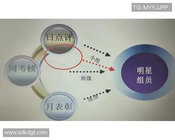 南京羽毛球队个人能力引发热议球员表现与团队协作的深度探讨