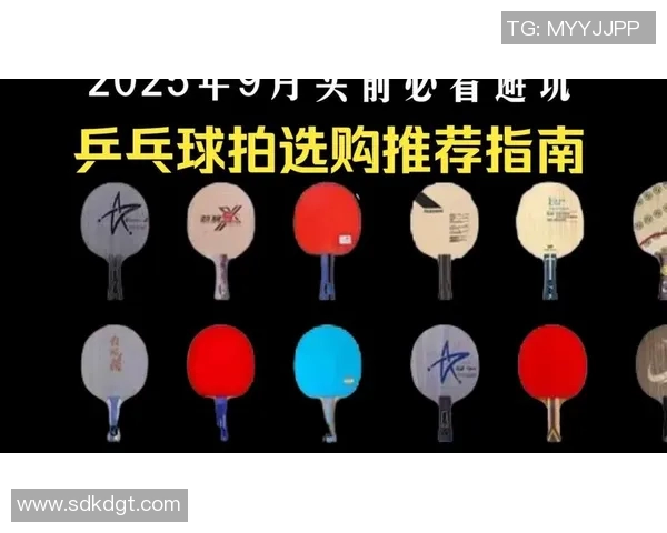 乒乓球爱好者必看：精选球拍推荐与选购指南助你提升球技