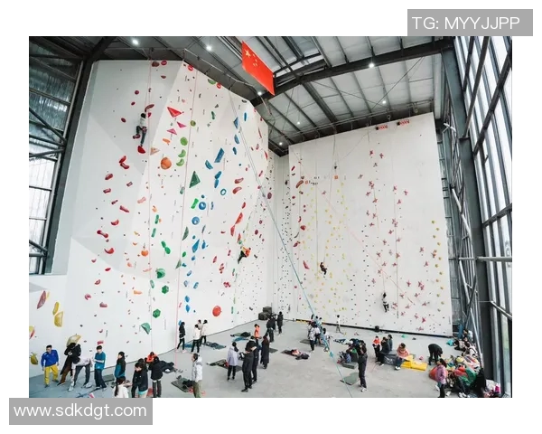 北京攀岩队实力强劲最新攀岩个人能力排行榜前十名揭晓