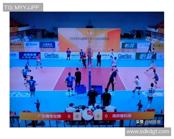 南京篮球队个人能力提升之路探讨与热议