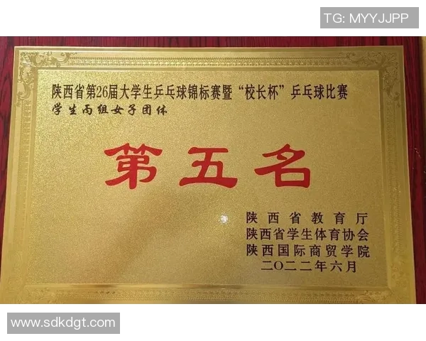 深圳羽毛球队实力强劲荣登全国第五名展现出色竞技水平与团队合作精神