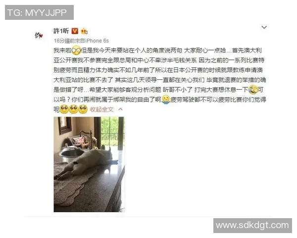 深圳乒乓球队进攻战术解析与热点动态全景解读