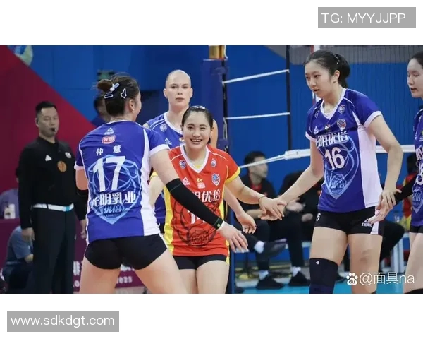 上海排球队心理素质引发热议球迷与专家观点交锋探讨心理因素影响表现 上海排球队心理素质引发热议球迷与专家观点交锋探讨心理因素影响表现