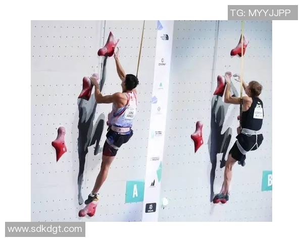 南京攀岩队与深圳攀岩队速度对决赛后分析与精彩回顾