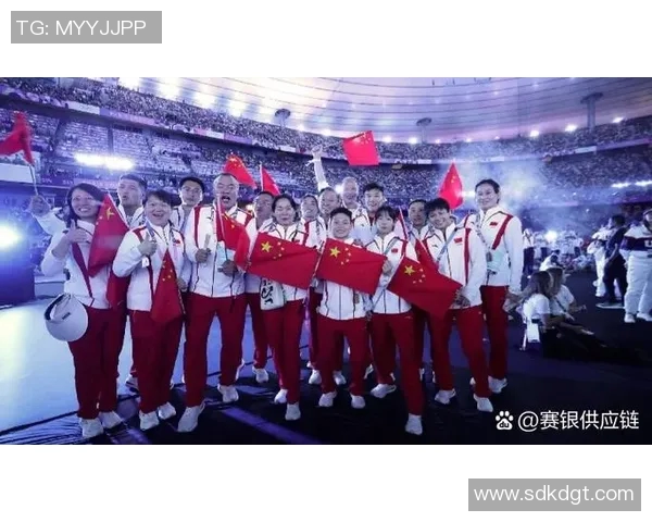 对话杨强：回顾网球生涯的辉煌与挑战与未来展望