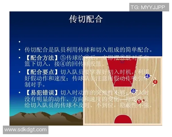 成都篮球队战术解析与发展探讨聚焦球队未来竞技表现与战术创新