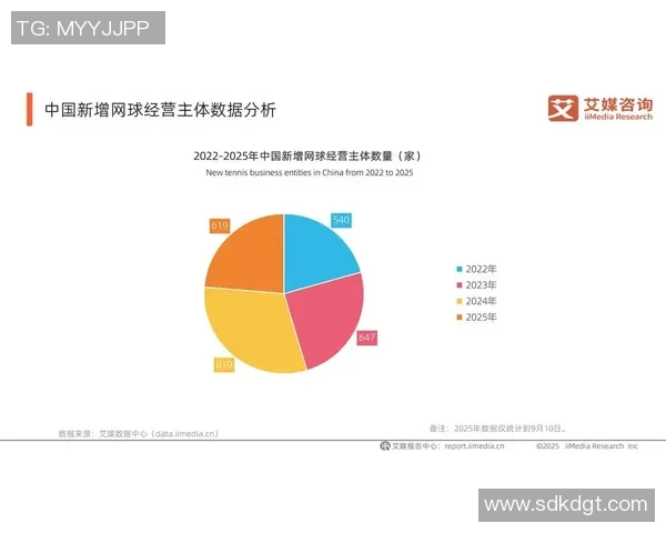 深入探讨北京网球队的力量表现与数据分析的关系及其影响因素