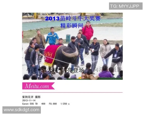 延边富德与贵州的精彩对决回放分析与赛后点评