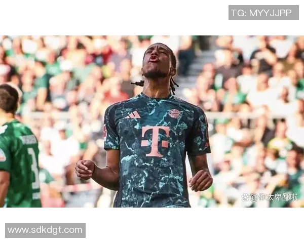 2013年拜仁慕尼黑对阵不莱梅的精彩对决回顾与分析