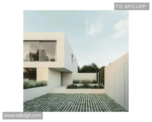 深入解析am与vs的含义及其在不同语境中的用法与区别