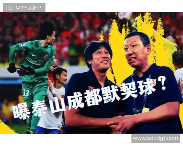 成都羽毛球队战术之争引发热议球迷与专家各执己见MBA