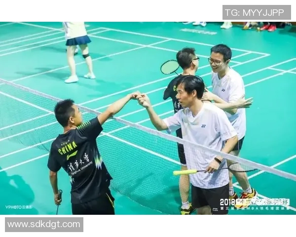 杭州羽毛球队反击之路：胜负背后的策略与启示分析MBA