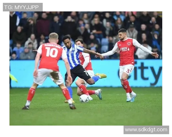 弗利特伍德与桑德兰的激烈对决展现英甲联赛的精彩魅力与竞争态势 弗利特伍德与桑德兰的激烈对决展现英甲联赛的精彩魅力与竞争态势