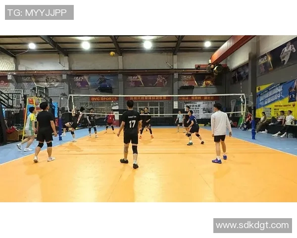 杭州排球队在全国排球团队协作排行榜中荣获第九名的佳绩分析MBA 杭州排球队在全国排球团队协作排行榜中荣获第九名的佳绩分析MBA