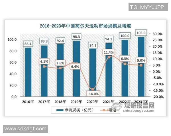武汉排球队意识对比深度解析与发展趋势探讨