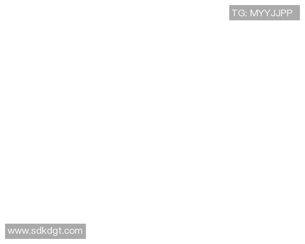 领航者与飞豹的精彩对决揭示了现代战斗机技术的巅峰之争与未来发展趋势