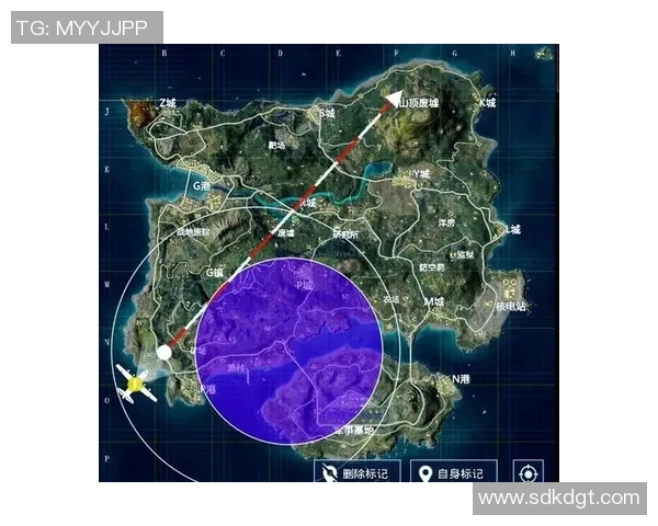 和平精英新手必看攻略：全面解析配合技巧与入门策略